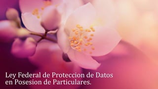 Ley Federal de Proteccion de Datos 
en Posesion de Particulares. 
 