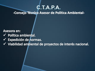 -Consejo Técnico Asesor de Política Ambiental-
 