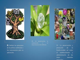 II. Definir los principios
de la política ambiental y
los instrumentos para su
aplicación.
III. La preservación, la
restauración y el
mejoramiento del ambiente. IV. La preservación y
protección de la
biodiversidad, así como
el establecimiento y
administración de las
áreas naturales
 