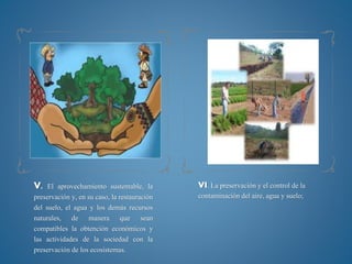 V. El aprovechamiento sustentable, la
preservación y, en su caso, la restauración
del suelo, el agua y los demás recursos
naturales, de manera que sean
compatibles la obtención económicos y
las actividades de la sociedad con la
preservación de los ecosistemas.
VI. La preservación y el control de la
contaminación del aire, agua y suelo;
 