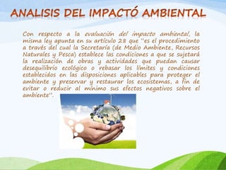 Con respecto a la evaluación del impacto ambiental, la
misma ley apunta en su artículo 28 que “es el procedimiento
a través del cual la Secretaría (de Medio Ambiente, Recursos
Naturales y Pesca) establece las condiciones a que se sujetará
la realización de obras y actividades que puedan causar
desequilibrio ecológico o rebasar los límites y condiciones
establecidos en las disposiciones aplicables para proteger el
ambiente y preservar y restaurar los ecosistemas, a fin de
evitar o reducir al mínimo sus efectos negativos sobre el
ambiente”.
 