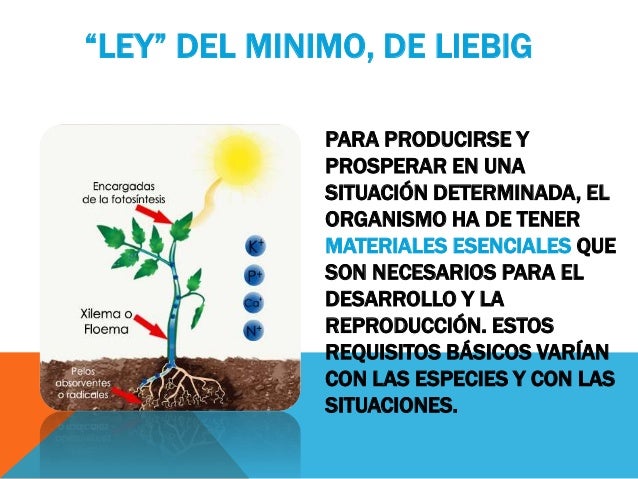 Ley Del Minimo O Principio De Liebig es.slideshare.net