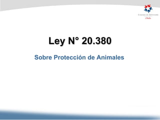Ley N° 20.380 Sobre Protección de Animales 