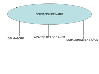 EDUCACION PRIMARIA EDUCACION PRIMARIA OBLIGATORIA A PARTIR DE LOS 6 AÑOS DURACION DE 6 A 7 AÑOS 
