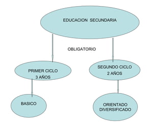 EDUCACION  SECUNDARIA PRIMER CICLO 3 AÑOS SEGUNDO CICLO 2 AÑOS BASICO ORIENTADO DIVERSIFICADO OBLIGATORIO 