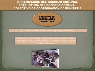 ORGANIZACIÓN DEL CONSEJO COMUNAL 
ESTRUCTURA DEL CONSEJO COMUNAL 
COLECTIVO DE COORDINACIÓN COMUNITARIA 
COLECTIVO DE 
COORDINACIÓN 
COMUNITARIA 
Es la instancia de articulación, trabajo conjunto y funcionamiento. 
Conformado por los voceros y voceras de la Unidad Ejecutiva, Unidad 
Administrativa y Financiera Comunitaria y Unidad de Contraloría Social 
del Consejo Comunal. 
 