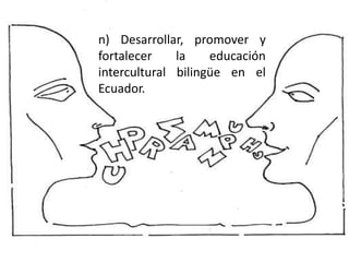 n) Desarrollar, promover y
fortalecer la educación
intercultural bilingüe en el
Ecuador.
 