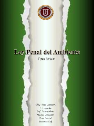 Eddy Yelitza Lucena M.
C. I.: 14592160
Prof.: Francisco Peña
Materia: Legislación
Penal Especial
Sección: SAIA J
Tipos Penales
 