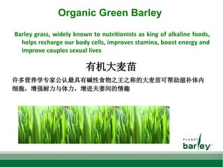 Organic Green Barley
Barley grass, widely known to nutritionists as king of alkaline foods,
helps recharge our body cells, improves stamina, boost energy and
improve couples sexual lives
有机大麦苗
许多营养学专家公认最具有碱性食物之王之称的大麦苗可帮助滋补体内
细胞，增强耐力与体力，增进夫妻间的情趣
 