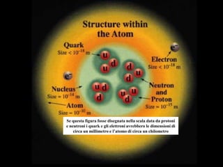 Se questa figura fosse disegnata nella scala data da protoni
e neutroni i quark e gli elettroni avrebbero le dimensioni di
circa un millimetro e l’atomo di circa un chilometro

 