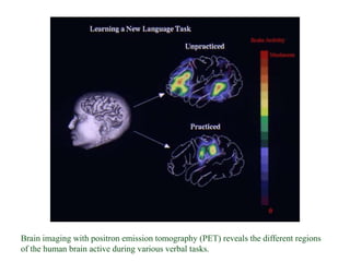 Brain imaging with positron emission tomography (PET) reveals the different regions
of the human brain active during various verbal tasks.

 