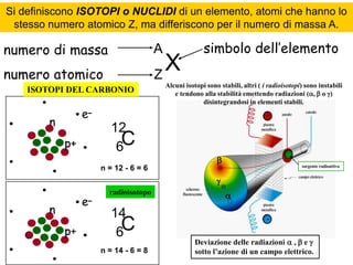Si definiscono ISOTOPI o NUCLIDI di un elemento, atomi che hanno lo
stesso numero atomico Z, ma differiscono per il numero di massa A.

numero di massa

A

X
Z

numero atomico
ISOTOPI DEL CARBONIO

e-

n

simbolo dell’elemento

Alcuni isotopi sono stabili, altri ( i radioisotopi) sono instabili
e tendono alla stabilità emettendo radiazioni (,  o )
disintegrandosi in elementi stabili.

+

12
6C

p+

n = 12 - 6 = 6



sorgente radioattiva



e-

n
p+

radioisotopo

14
6C
n = 14 - 6 = 8


Deviazione delle radiazioni  ,  e 
sotto l’azione di un campo elettrico.

 