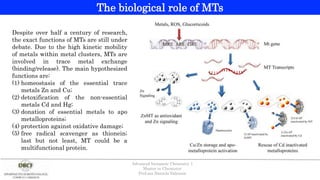 Despite over half a century of research,
the exact functions of MTs are still under
debate. Due to the high kinetic mobility
of metals within metal clusters, MTs are
involved in trace metal exchange
(binding/release). The main hypothesized
functions are:
(1) homeostasis of the essential trace
metals Zn and Cu;
(2) detoxification of the non-essential
metals Cd and Hg;
(3) donation of essential metals to apo
metalloproteins;
(4) protection against oxidative damage;
(5) free radical scavenger as thionein;
last but not least, MT could be a
multifunctional protein.
The biological role of MTs
Advanced Inorganic Chemistry 1
Master in Chemistry
Prof.ssa Daniela Valensin
 