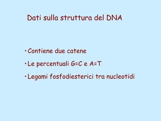 Dati sulla struttura del DNA
•Contiene due catene
•Le percentuali G=C e A=T
•Legami fosfodiesterici tra nucleotidi
 