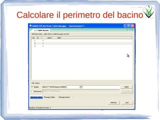 Calcolare il perimetro del bacino
 