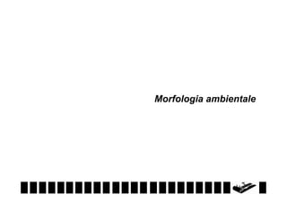Morfologia ambientale

 