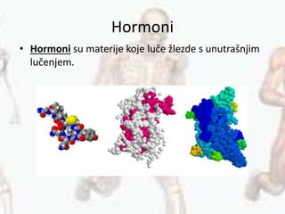Hormoni
• Hormoni su materije koje luče žlezde s unutrašnjim
lučenjem.
 