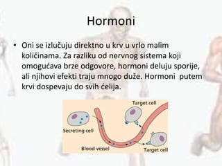 Hormoni
• Oni se izlučuju direktno u krv u vrlo malim
količinama. Za razliku od nervnog sistema koji
omogućava brze odgovore, hormoni deluju sporije,
ali njihovi efekti traju mnogo duže. Hormoni putem
krvi dospevaju do svih ćelija.
 