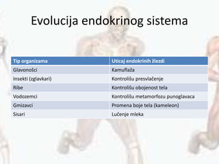 Evolucija endokrinog sistema
Tip organizama Uticaj endokrinih žlezdi
Glavonošci Kamuflaža
Insekti (zglavkari) Kontrolišu presvlačenje
Ribe Kontrolišu obojenost tela
Vodozemci Kontrolišu metamorfozu punoglavaca
Gmizavci Promena boje tela (kameleon)
Sisari Lučenje mleka
 