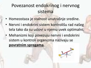 Povezanost endokrinog i nervnog
sistema
• Homeostaza je stalnost unutrašnje sredine.
• Nervni i endokrini sistem kontrolišu rad našeg
tela tako da su uslovi u njemu uvek optimalni.
• Mehanizmi koji povezuju nervni i endokrini
sistem u kontroli organizma nazivaju se
povratnim spregama.
 