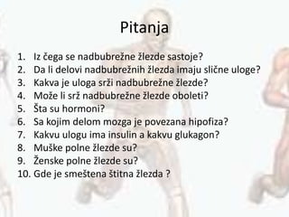 Pitanja
1. Iz čega se nadbubrežne žlezde sastoje?
2. Da li delovi nadbubrežnih žlezda imaju slične uloge?
3. Kakva je uloga srži nadbubrežne žlezde?
4. Može li srž nadbubrežne žlezde oboleti?
5. Šta su hormoni?
6. Sa kojim delom mozga je povezana hipofiza?
7. Kakvu ulogu ima insulin a kakvu glukagon?
8. Muške polne žlezde su?
9. Ženske polne žlezde su?
10. Gde je smeštena štitna žlezda ?
 