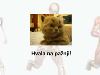 Hvala na pažnji!
 