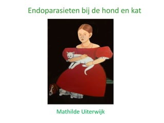 Endoparasieten bij de hond en kat




        Mathilde Uiterwijk
 