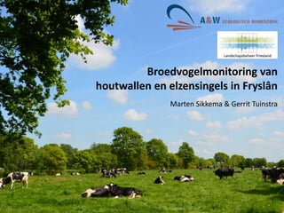 Broedvogelmonitoring van
houtwallen en elzensingels in Fryslân
Marten Sikkema & Gerrit Tuinstra
 