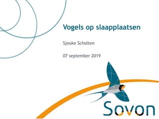 Vogels op slaapplaatsen
Sjouke Scholten
07 september 2019
 
