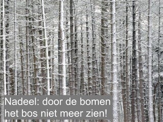 Nadeel: door de bomen
het bos niet meer zien!
 