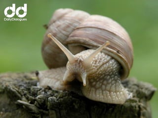 Social CRM is de
toekomst, al jaren. CRM
systemen maken
langzaam de stap
 