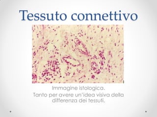 Tessuto connettivo



         Immagine istologica.
  Tanto per avere un’idea visiva della
         differenza dei tessuti.
 
