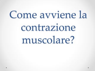 Come avviene la
  contrazione
  muscolare?
 