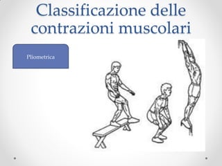Classificazione delle
 contrazioni muscolari
Pliometrica
 