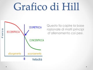 Grafico di Hill
       Questo fa capire la base
       razionale di molti principi
        d’allenamento coi pesi.
 