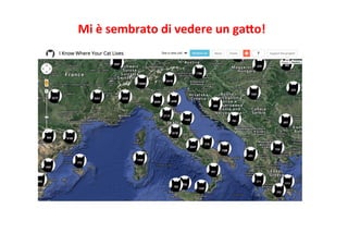 Mi	
  è	
  sembrato	
  di	
  vedere	
  un	
  gaWo!	
  
 