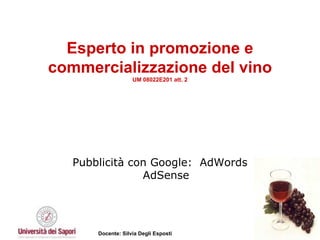 Esperto in promozione e commercializzazione del vino UM 08022E201 att. 2 Pubblicità con Google:  AdWords AdSense 