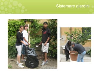 Sistemare giardini
 