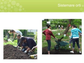 Sistemare orti
 