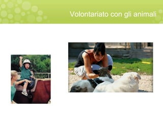 Volontariato con gli animali
 