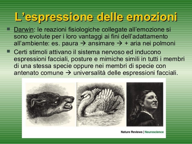 L Espressione Delle Emozioni Nell Uomo E Negli Animali Lezione12