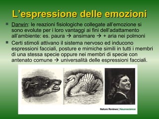 L’espressione delle emozioni




Darwin: le reazioni fisiologiche collegate all’emozione si
sono evolute per i loro vantaggi ai fini dell’adattamento
all’ambiente: es. paura  ansimare  + aria nei polmoni
Certi stimoli attivano il sistema nervoso ed inducono
espressioni facciali, posture e mimiche simili in tutti i membri
di una stessa specie oppure nei membri di specie con
antenato comune  universalità delle espressioni facciali.

 