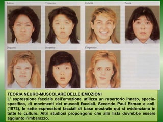 TEORIA NEURO-MUSCOLARE DELLE EMOZIONI
L’ espressione facciale dell’emozione utilizza un repertorio innato, speciespecifico, di movimenti dei muscoli facciali. Secondo Paul Ekman e coll.
(1973), le sette espressioni facciali di base mostrate qui si evidenziano in
tutte le culture. Altri studiosi propongono che alla lista dovrebbe essere
aggiunto l’imbarazzo.

 