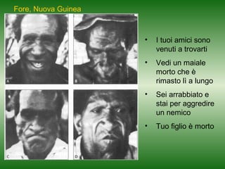 Fore, Nuova Guinea

•

I tuoi amici sono
venuti a trovarti

•

Vedi un maiale
morto che è
rimasto lì a lungo

•

Sei arrabbiato e
stai per aggredire
un nemico

•

Tuo figlio è morto

 