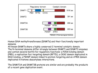 Human DNA methyltransferases (DNMTs) and their functionally important
domains.
All known DNMTs share a highly conserved C-terminal catalytic domain.
The N-terminal domains differ strongly between DNMT1 and DNMT3 enzymes
and contain several motifs for regulatory functions: a PCNA binding domain
(PBD), a replication foci targeting domain (RFTD), a CXXC domain implicated in
DNA binding, a PWWP domain linked to protein targeting and an ATRX domain
implicated in histone deacetylase interactions.
The DNMT3A and DNMT3B proteins are similar and are probably the products
of a recent gene duplication event.

 