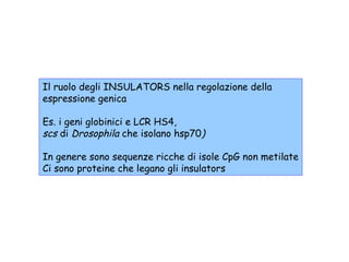 Il ruolo degli INSULATORS nella regolazione della
espressione genica
Es. i geni globinici e LCR HS4,
scs di Drosophila che isolano hsp70)
In genere sono sequenze ricche di isole CpG non metilate
Ci sono proteine che legano gli insulators

 