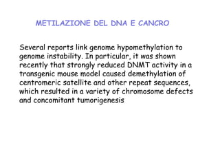 METILAZIONE DEL DNA E CANCRO
Several reports link genome hypomethylation to
genome instability. In particular, it was shown
recently that strongly reduced DNMT activity in a
transgenic mouse model caused demethylation of
centromeric satellite and other repeat sequences,
which resulted in a variety of chromosome defects
and concomitant tumorigenesis

 