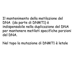 Il mantenimento della metilazione del
DNA (da parte di DNMT1) è
indispensabile nella duplicazione del DNA
per mantenere metilati specifiche porzioni
del DNA.
Nel topo la mutazione di DNMT1 è letale

 