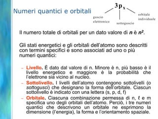 Diagramma della densità elettronicaY ,Y 2SY 2Funzione d’onda orbitale.Probabilità che l’elettrone siain un puntoDistribuzione di probabilità radiale: probabilità che l’elettrone sia in un guscio sfericorrPer un dato livello energetico, la probabilità di trovare l’elettrone entro un certo volume di spazio si può rappresentare mediante i diagrammi della densità elettronica.La densità elettronica diminuisce all’aumentare della distanza dal nucleo lungo una semiretta r uscente dal nucleo.