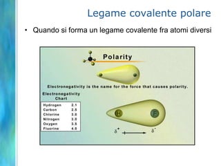 Legame covalente polare
• Quando si forma un legame covalente fra atomi diversi
 